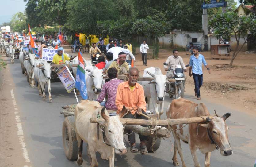 balagaht पेट्रोल डीजल में मूल्य वृद्धि के विरोध में कांग्रेस ने निकाली बैलगाड़ी रैली