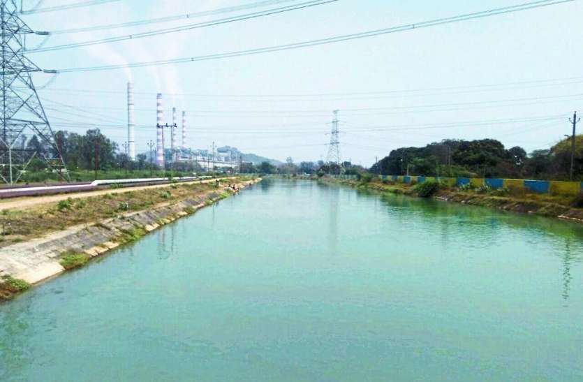 Story of khooni nahar in NTPC Singrauli ये है मध्यप्रदेश की खूनी नहर, जो अब तक ले चुकी है 60 जानें, भूलकर भी मत जाना