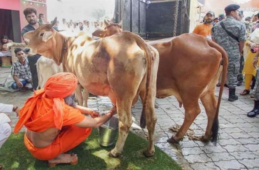 Patanjali बाबा रामदेव ने दूध दही बेचना तो शुरू कर दिया, लेकिन खरीदने से पहले जान लीजिए असली सच्चार्इ