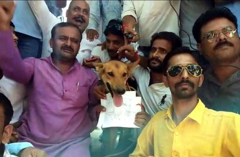 Protest against SC ST Act in satna and Madhya Pradesh एक्ट्रोसिटी एक्ट का मध्यप्रदेश में जबरदस्त विरोध, कुत्ते को ज्ञापन देकर सुनाई खरी-खोटी