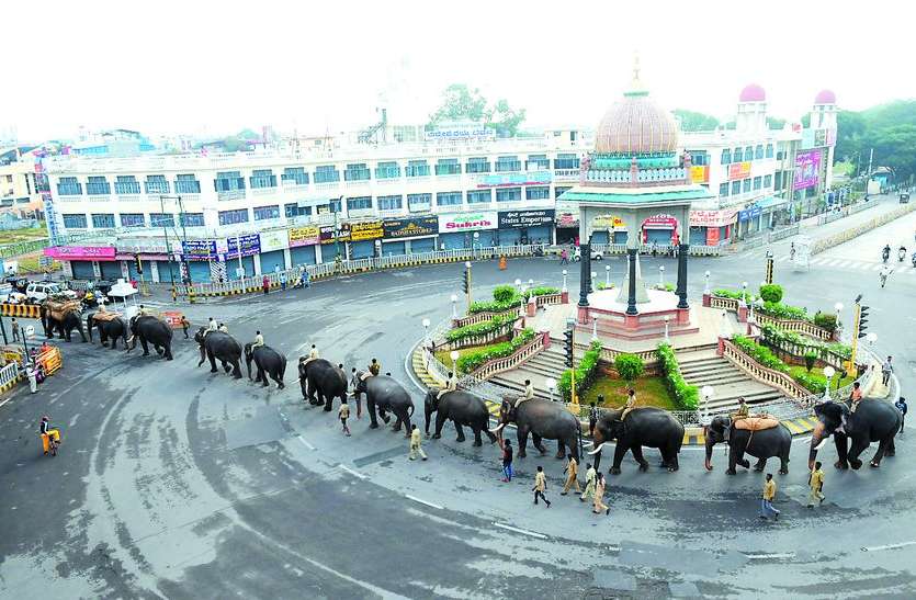 mysuru dasara दूसरे जत्थे के हाथियों में अभिमन्यु सबसे वजनी