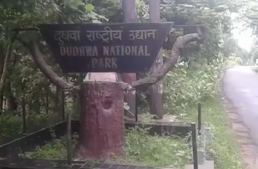 Dhuidhwa Park दुधवा के 'वीरप्पन' से निपटने पहुंचे तमिलनाडु के विशेषज्ञ