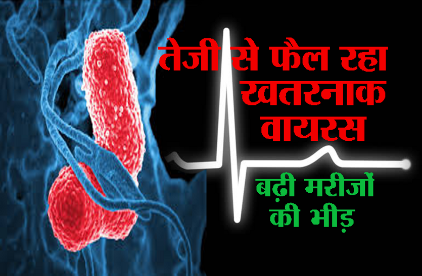 dengue viral virus Alert : तेजी से फैल रहा खतरनाक वायरस, अस्पतालों में बढ़ी मरीजों की भीड़