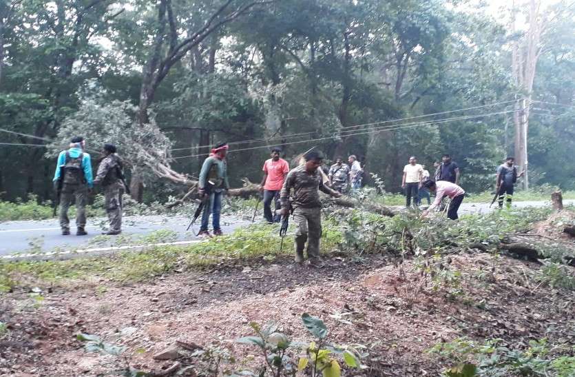 moaist news मुठभेड़ में कमांडर के मारे जाने के बाद दहशत फैलाने माओवादियों पेड़ काटकर किया रास्ता बंद, जवानों ने किया हाईअलर्ट