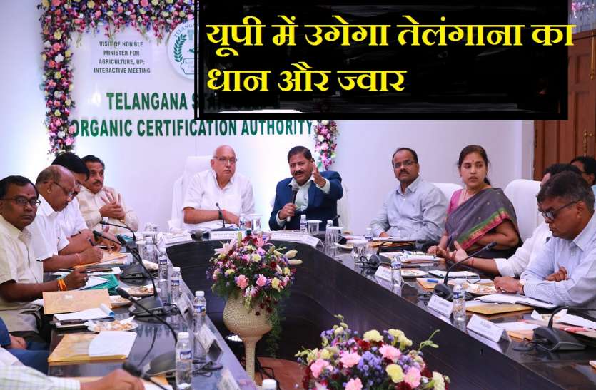 Telangana Jwar and rice to be crop in UP soon, MOU signed यूपी में उगेगा तेलंगाना का धान और ज्वार- दो राज्यों के बीच हुआ एमओयू