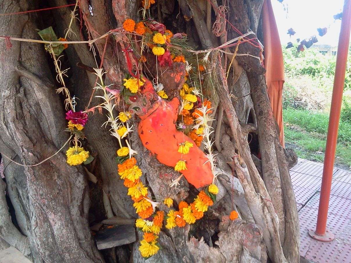bargad ganesh