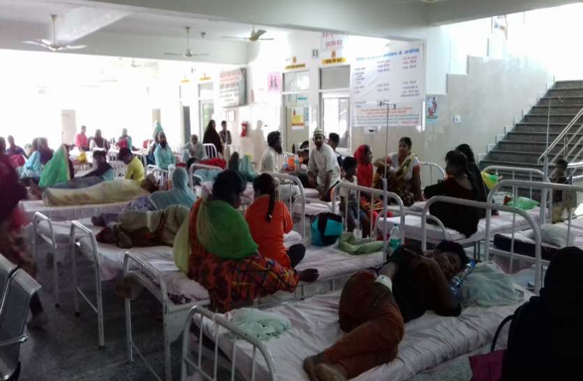 plasmodium falciparum malaria खतरनाक मलेरिया के मिले 1500 मरीज, 150 से ज्यादा की मौत, स्वास्थ्य महकमे की नाकामी आई सामने