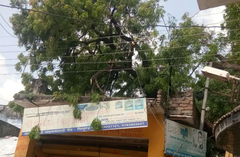 rajsamand धमाके की आवाज और गिलूण्ड के चार मकानों पर गिरी आफत