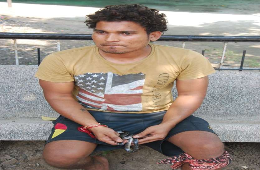 snake bite सांप लेकर अस्पताल पहुंचा युवक बोला- इसी ने मुझे काटा है, अब इलाज करो