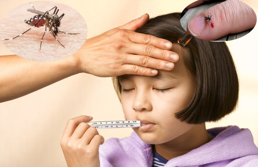 Dengue Fever Causes, Symptoms And Treatment In Hindi - डेंगू से घबराए नहीं,  ऐसे लक्षण दिखने पर तुरंत कराएं ये टेस्ट और उपचार | Patrika News