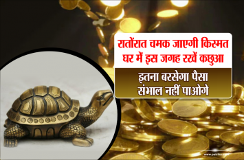 how to increase your luck factor रातोंरात चमक जाएगी किस्मत, घर में इस जगह रखें कछुआ, इतना बरसेगा पैसा संभाल नहीं पाओगे