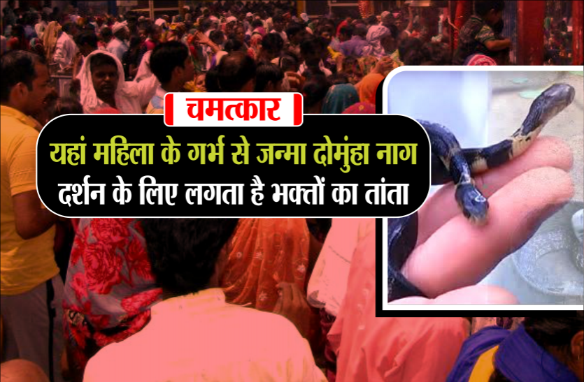 nag mandir चमत्कारः यहां महिला के गर्भ से जन्मा दोमुंहा नाग, दर्शन के लिए लगता है भक्तों का तांता
