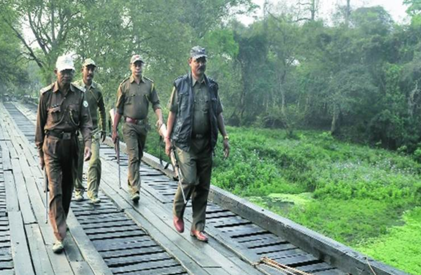 ppsc jobs सरकारी नाैकरी - सहायक वन संरक्षक बनने का सुनहरा माैका, जल्द करें आवेदन