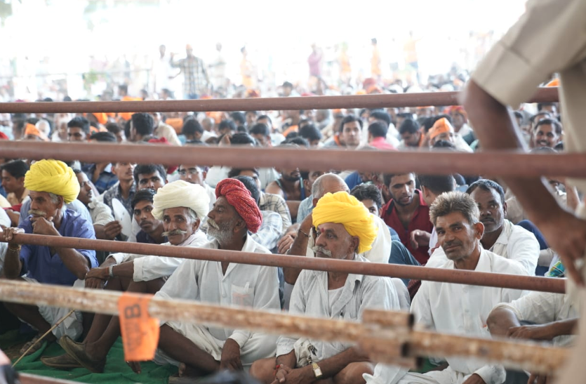 PM modi PM modi