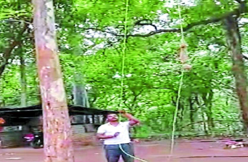 cg news पहले 40 फीट ऊपर झाड़ में मोबाइल को लटकाते हैं, फिर ब्लूटूथ से करते हैं बात