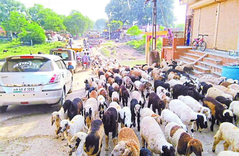 patrika news बिना मुंडेर के कुएं बन रहे हादसों की वजह, एक की मौत