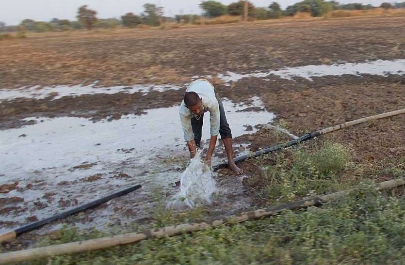 Farmers gathered in Palva after cleaning the fields खेतों की सफाई के बाद पलेवा में जुटा किसान, रबी फसल की हो रही तैयारी
