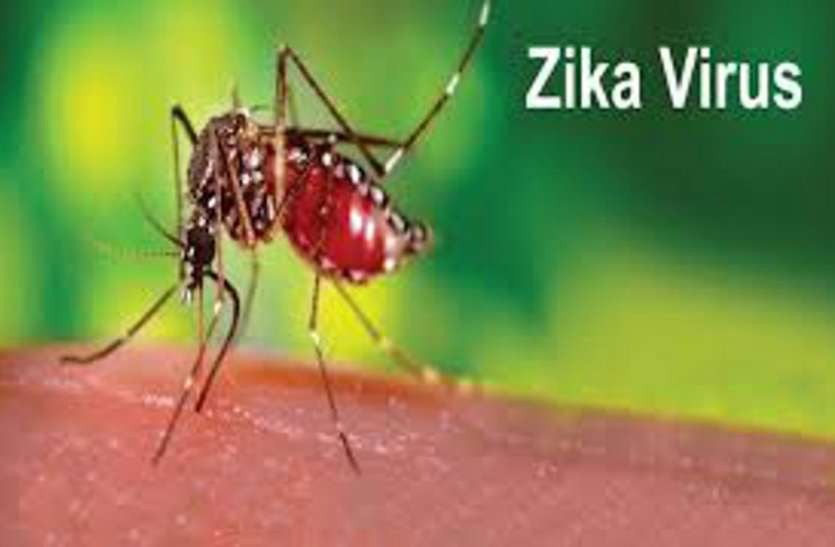 Zika Virus, servelence in Gujarat जीका वायरस के मद्देनजर गुजरात में भी आज से रहेगी विशेष नजर