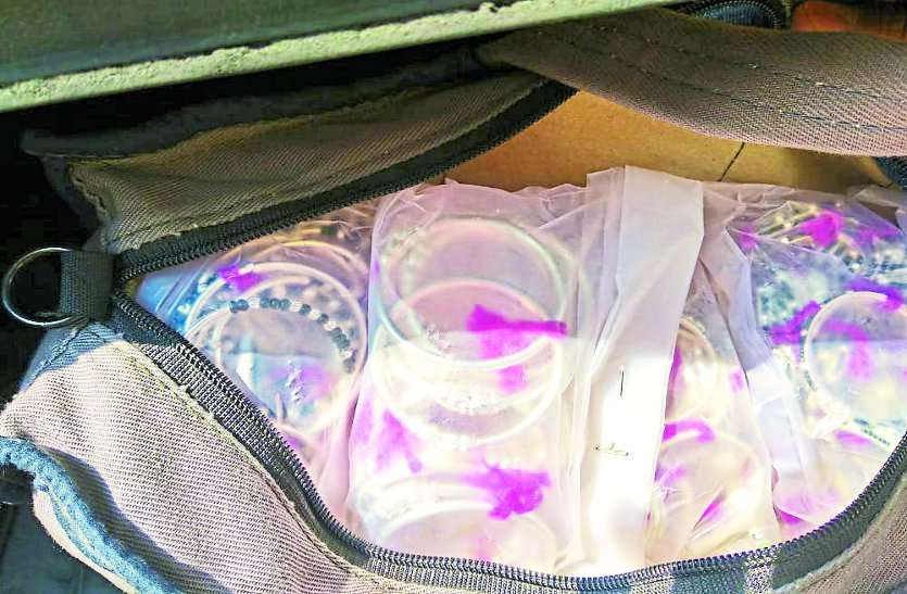 Bhilai crime कार की ली तलाशी तो पुलिस की आंखें फटी रह गई, 80 लाख के चांदी की बिछिया, पायल और चाबीपिन मिले