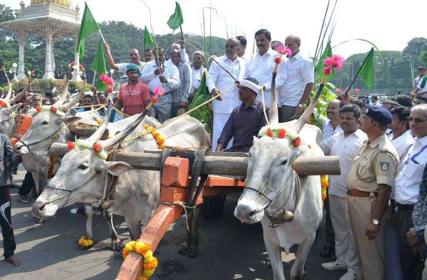 mysuru dasara MYSURU DASARA : कृषि मंत्री बने गाड़ीवान
