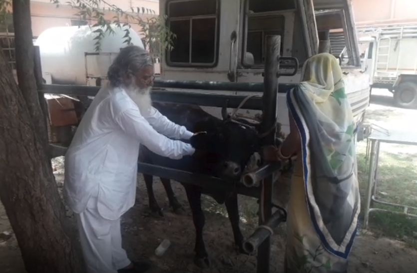 Nagaur चल पशु चिकित्सा इकाई से जुड़ा मामला, पशु पालकों में जागरुकता का बना अभाव