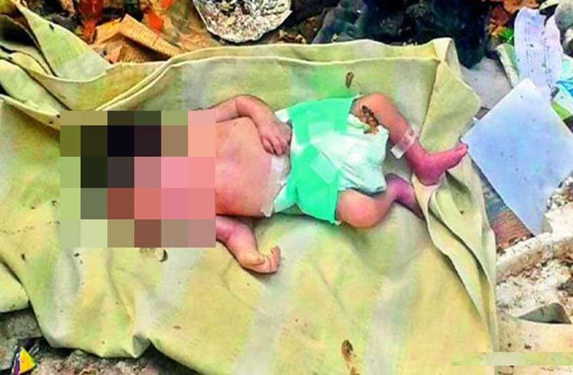 Korea newborn baby dead दुनिया में आते ही नवजात का हुआ मौत से सामना, माँ को अकेला छोड़ा नर्स ने तो पैदा होते ही जा गिरा डस्टबिन में