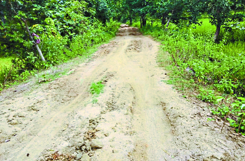 bad road 15 सालों में नहीं बन पाई इस गांव की सड़क, न मिली जरूरी सुविधाएं, ग्रामीणों ने किया चुनाव बहिष्कार ऐलान