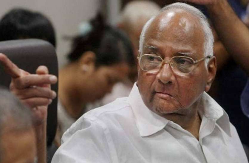 sharad pawar एनसीपी प्रमुख शरद पवार का बड़ा बयान, कहा- भाजपा और शिवसेना अलग-अलग लड़ेंगे विधानसभा चुनाव, लेकिन