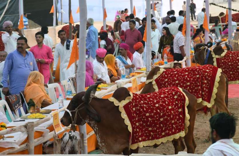 patrika इंद्र को जीतना आसान, इंद्रियों को जीतना मुश्किल