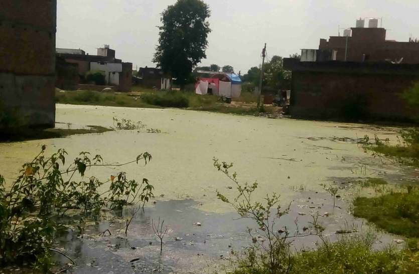 Risk of disease behind Idgah Negligence of administration ये तालाब नहीं खाली प्लॉट है, जानिए क्या है इसके पीछे का राज