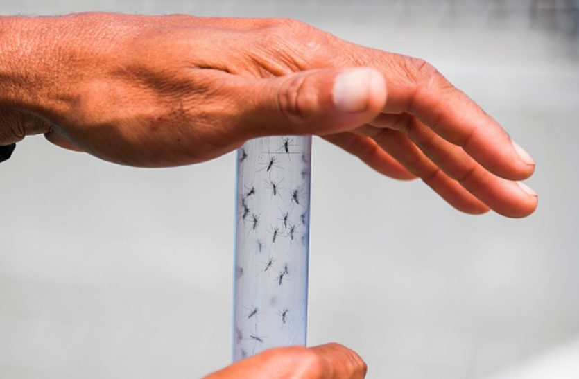 zika in india इस वजह से महीनों तक छुपाया गया था जीका वायरस से जुड़ा यह राज
