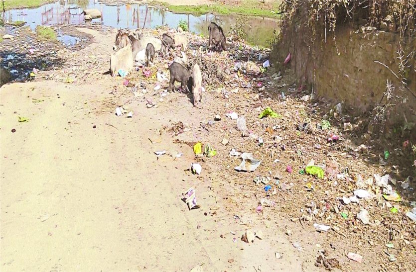patrika शहर में जगह-जगह गंदगी का आलम, मतदान को लेकर शहरवासियों ने कही ये बातें