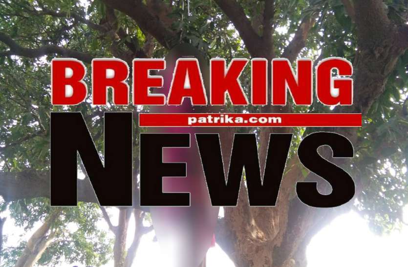 Breaking BREAKING: पेड़ से लटकता मिला प्रेमी-प्रेमिका का शव, रिश्ते में चचेरे भाई बहन थे दोनों