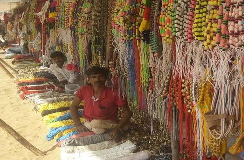 churu mela news मेले में पशुओं के आने का सिलसिला जारी