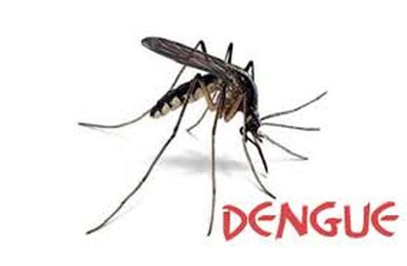 Dengue, Madhya Pradesh Hindi News, Latest News मध्यप्रदेश के इस शहर में तेजी से बढ़ रहे हैं डेंगू के मरीज