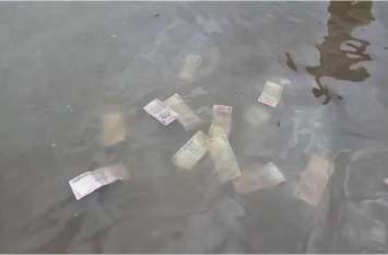 notes of 500 rupees found in river in east champaran नदी में तैरते दिखाई दिए पांच सौ के नोट,पुलिस जांच में जुटी
