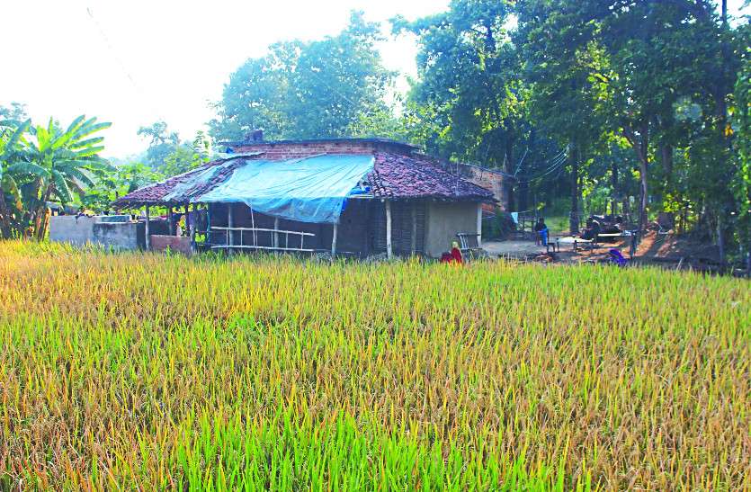 shivtarai हुक्का-पानी बंद : छत्तीसगढ़ की बेखौफ खाप, न पुलिस को चिंता न गांव को लग रही नाइंसाफी