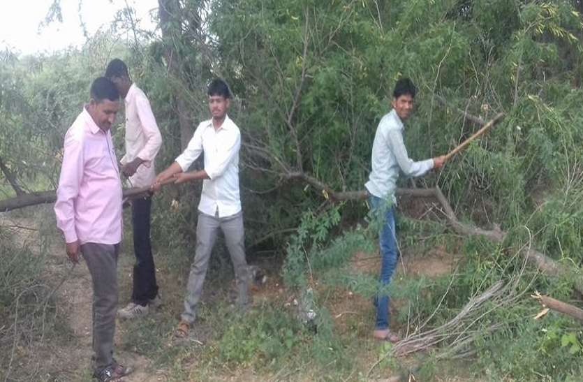 पेड़ पौधे हटाते ग्रामीण। युवाओं ने बदली कब्रिस्तान की तस्वीर