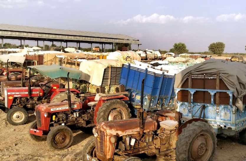 Secondary market in asop कृषि मंडी में किसानों को नहीं मिल रहे कपास खरीददार, भड़क गए किसान