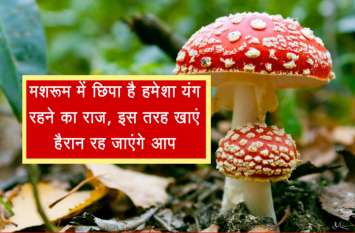 mashroom khane ke fayde in hindi मशरूम में छिपा है हमेशा यंग रहने का राज, इस तरह खाएं हैरान रह जाएंगे आप