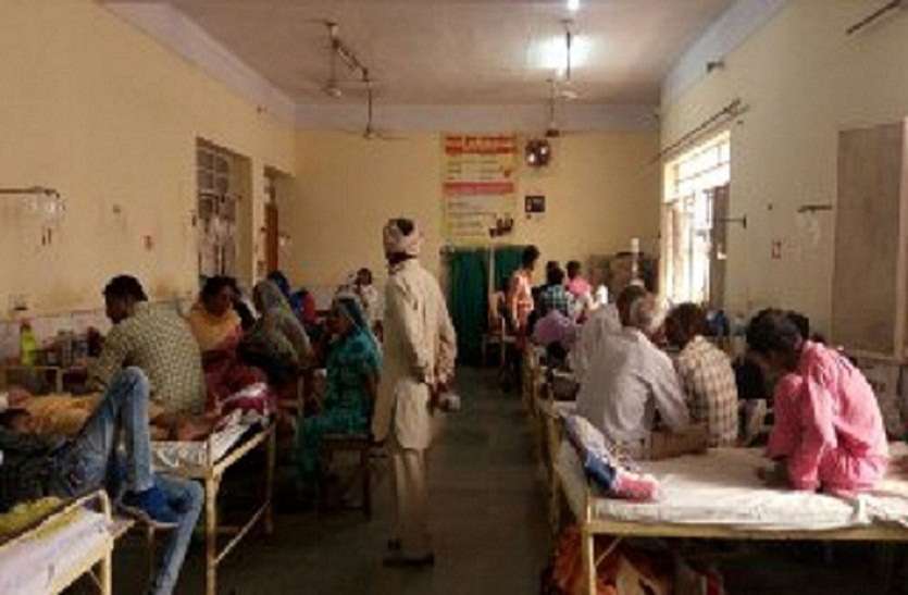 health चार नए डेंगू रोगी मिले,आंकड़ा पहुंचा 242 तक