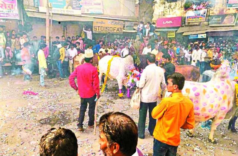 Mali samaj पशुओं को सजाकर निकाला जुलूस, मन्नतें उतारी