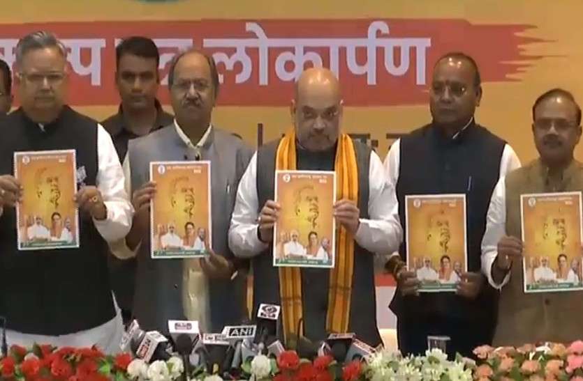 BJP manifesto CG Election 2018: अमित शाह ने छत्तीसगढ़ के लिए जारी किया भाजपा का संकल्प पत्र