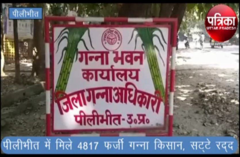 fake cane farmers उत्तराखंड के किसान बन गए यूपी के गन्ना किसान, जांच में हुआ खुलासा, पूरे जिले में 4817 मिले फर्जी गन्ना किसान