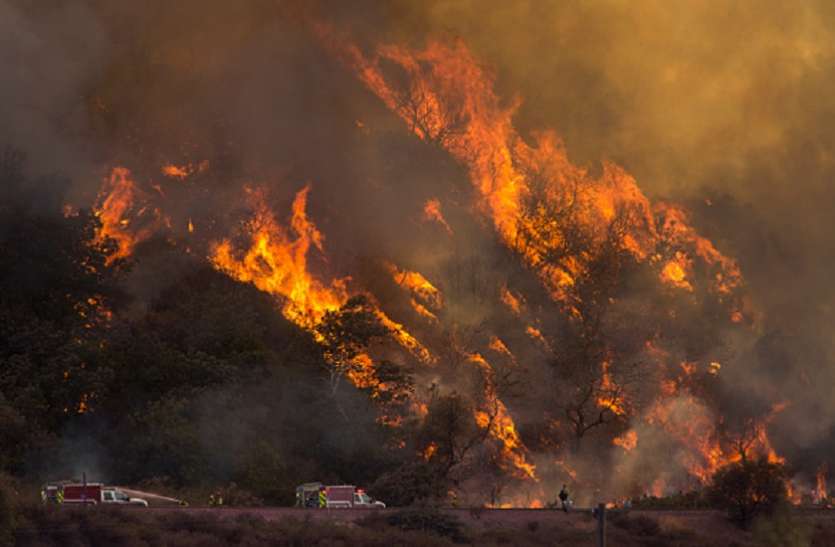 fire कैलिफोर्निया के जंगलों में लगी भीषण आग से 9 लोगों की मौत