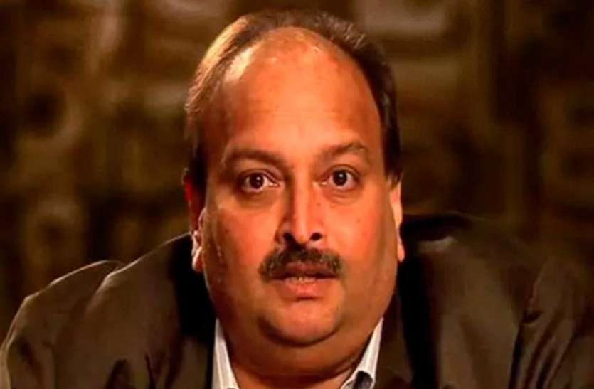 mehul choksi भारत की कारवाई से डरा मेहुल चोकसी, एंटीगुआ सरकार के खिलाफ कर दिया मुकदमा