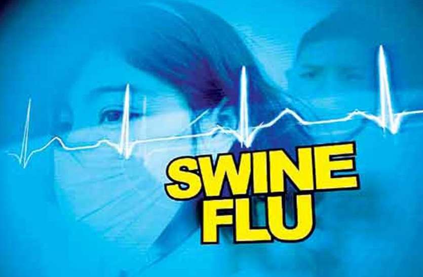 swine स्वाइन फ्लू से महिला की मौत, आठ मरीज आए सामने, स्वास्थ्य विभाग में हडक़ंप