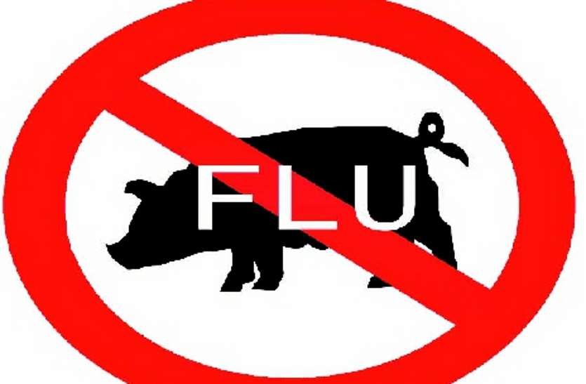 Woman dies of swine flu स्वाइन फ्लू से महिला की मौत