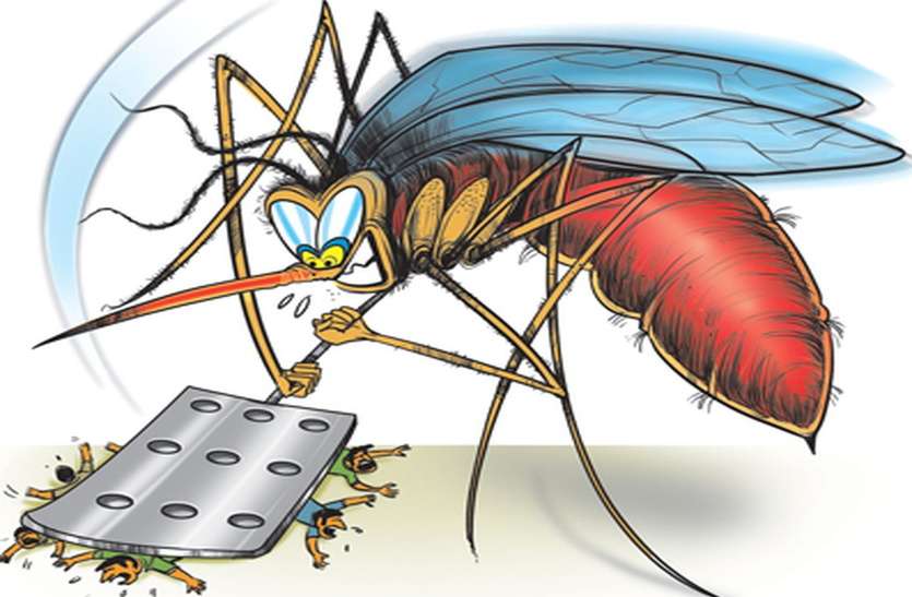 moquito attack in bhilwara सो रहे अफसर, जाग रहे मच्छर, बीमारों की नींद खराब