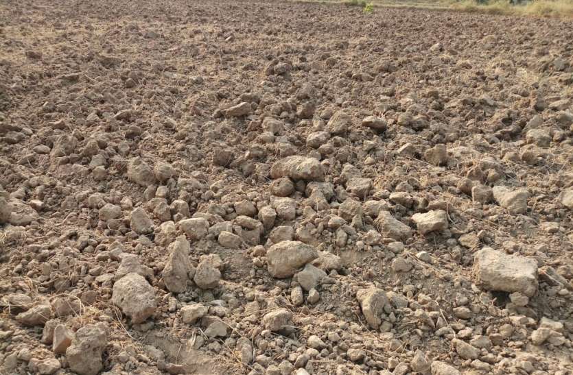 chhatarpur साल दर साल घट रही कृषि उपज, किसान चिंतित